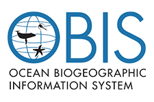 logo Obis